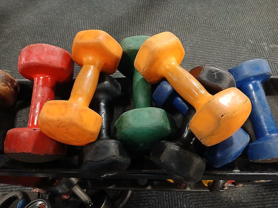 File:Colorful pile of dumbbells at the gym 2.jpg